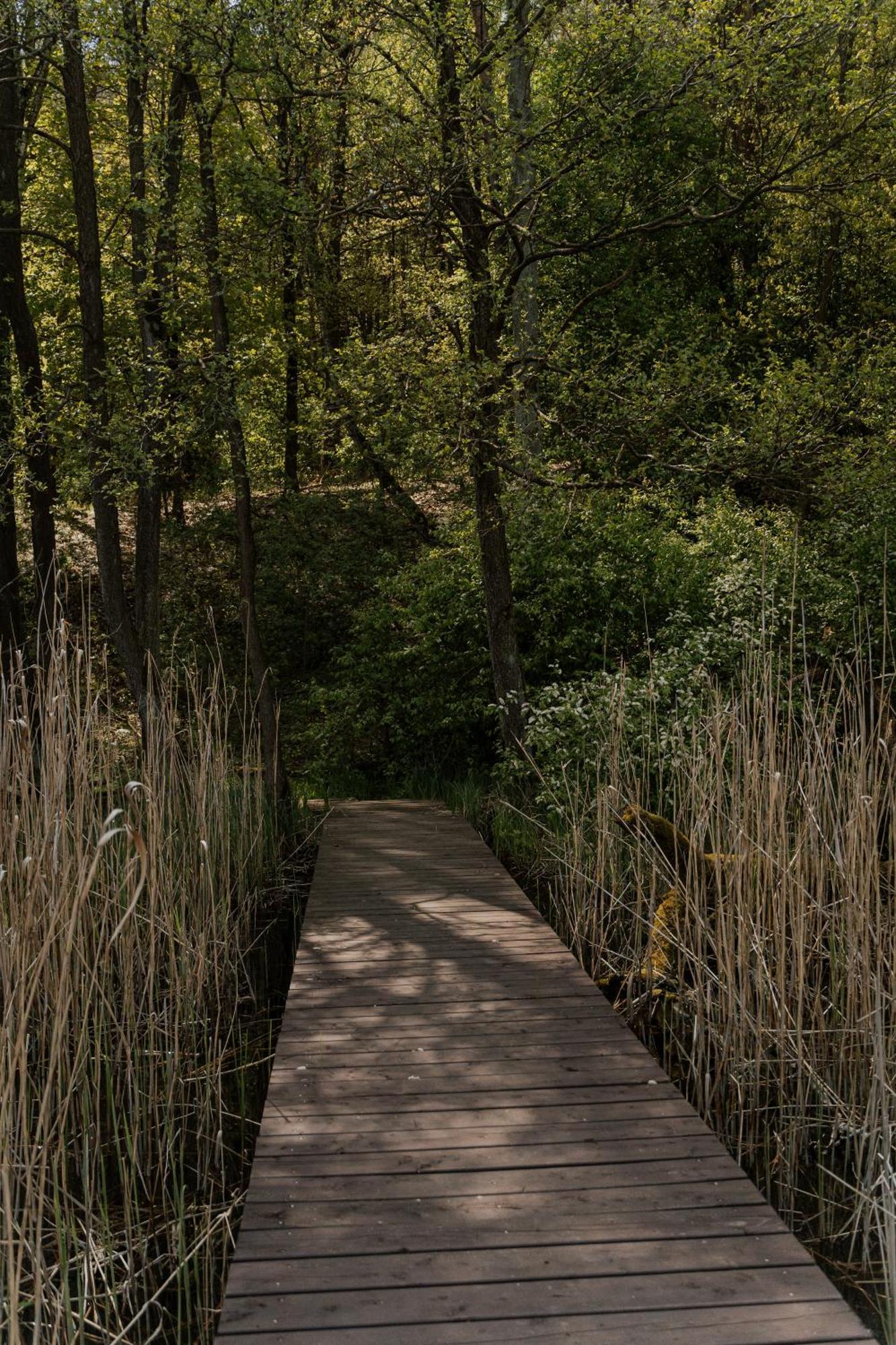 Villa Charszowka Stary Kobrzyniec Esterno foto